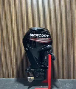 115 HP Mercury EFI ’18 outboard engine